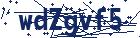 captcha here