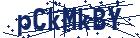 captcha here