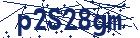 captcha here