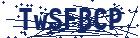 captcha here