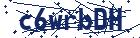 captcha here