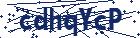 captcha here
