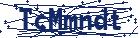 captcha here