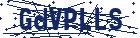 captcha here
