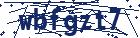 captcha here