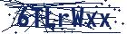 captcha here