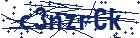 captcha here