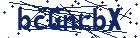 captcha here
