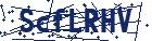 captcha here