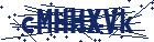 captcha here