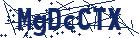 captcha here