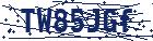 captcha here