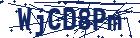 captcha here