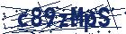 captcha here