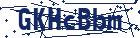 captcha here